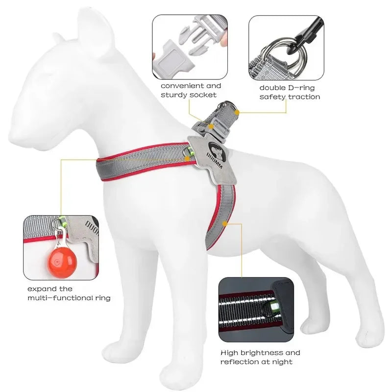 Y-Shaped Dog Harness, Reflective and Padded, Sizes S-XL