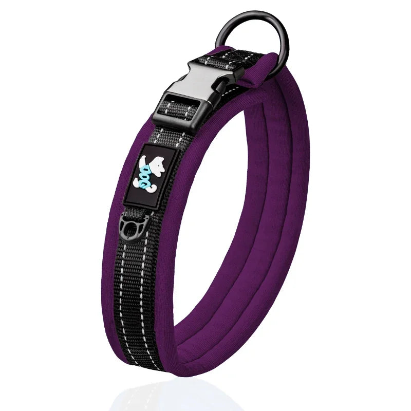 Personalized Collar for Large Dogs with Engraved Name Plate