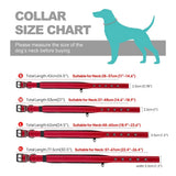 Padded Reflective Dog Collar with Metal Buckle, Medium to Large Dogs
