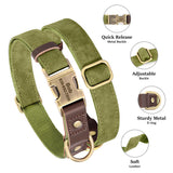 Custom Engraved Buckle Dog Collar with Name and Phone Number