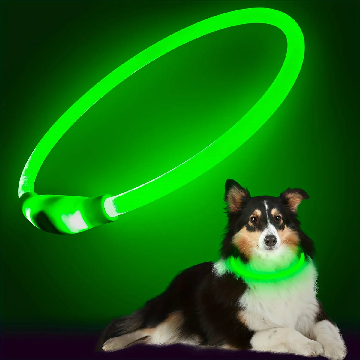 Rechargeable LED Dog Collar, Cut-to-Fit Light-Up Ring