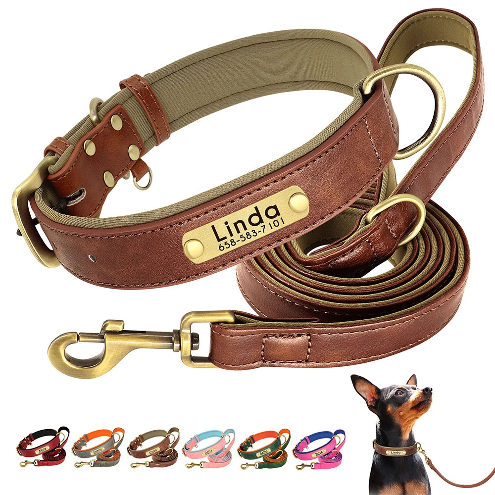 Personalized Dog Collar and Leash Set with Engraved Nameplate