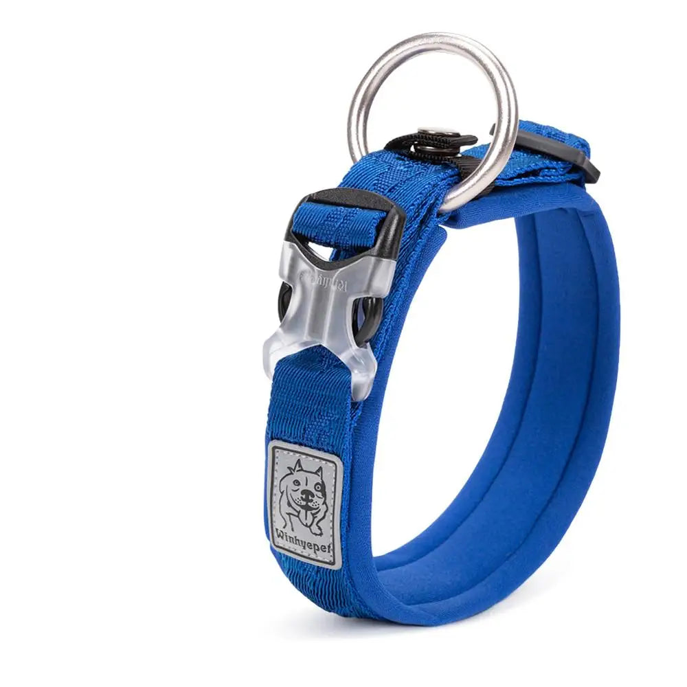 Adjustable Padded Dog Collar with Quick Release Buckle, XXS to 3XL