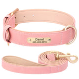 Personalized Leather Dog Collar with Engraved Nameplate, Pin Buckle