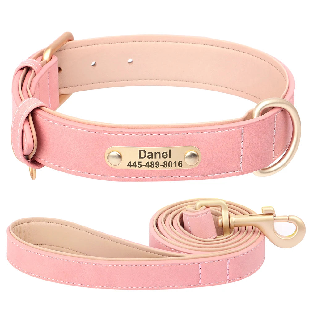 Personalized Leather Dog Collar with Engraved Nameplate, Pin Buckle