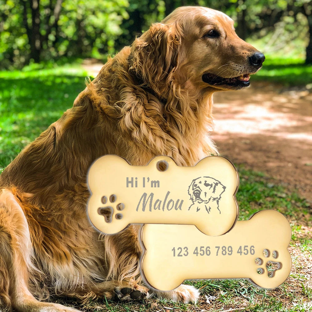 Engraved Bone Dog ID Tag, Personalized Stainless Steel Tag