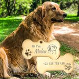Engraved Bone Dog ID Tag, Personalized Stainless Steel Tag