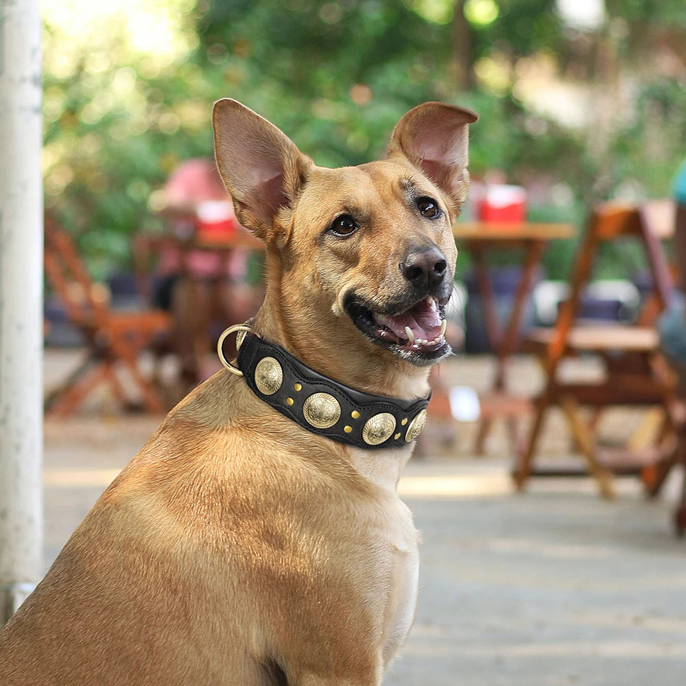 Real Leather Spiked Studded Dog Collar for Medium and Large Dogs