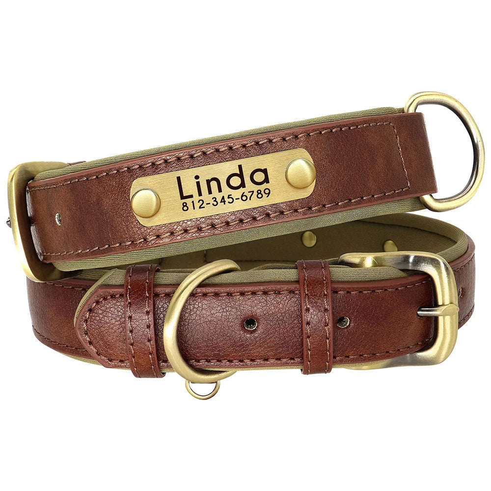 Personalized Dog Collar and Leash Set with Engraved Nameplate