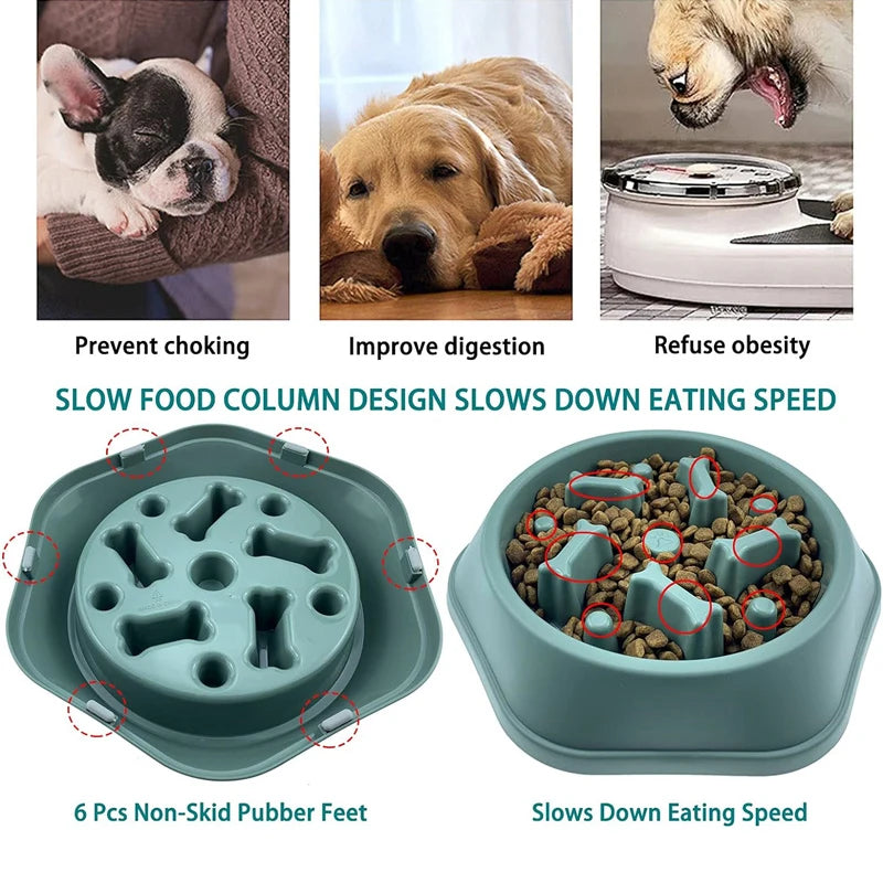 Slow Feeder Dog Bowl with Anti-Slip Base for Fast Eaters