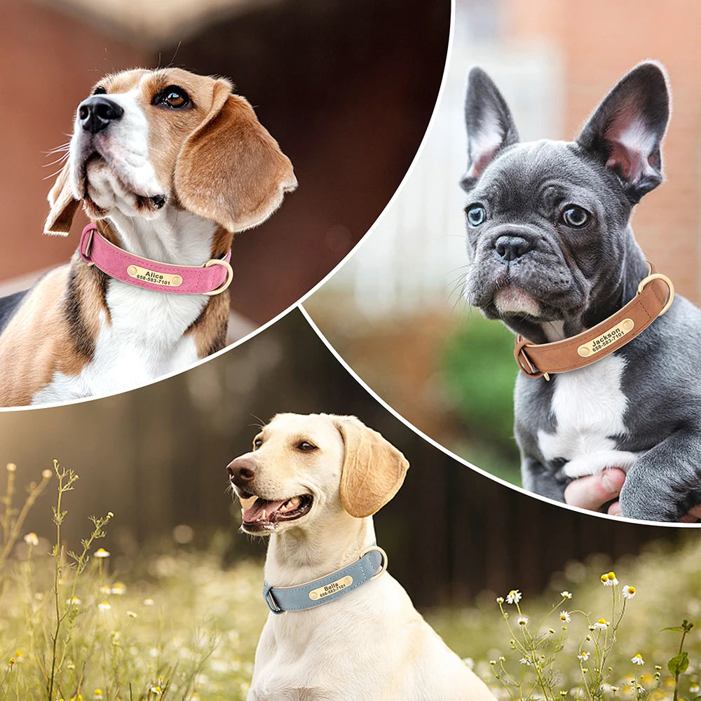 Personalized Dog Collar with Free Engraved ID Tag, PU Leather