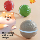 Smart Rolling Dog Ball That Moves on Its Own, USB Rechargeable