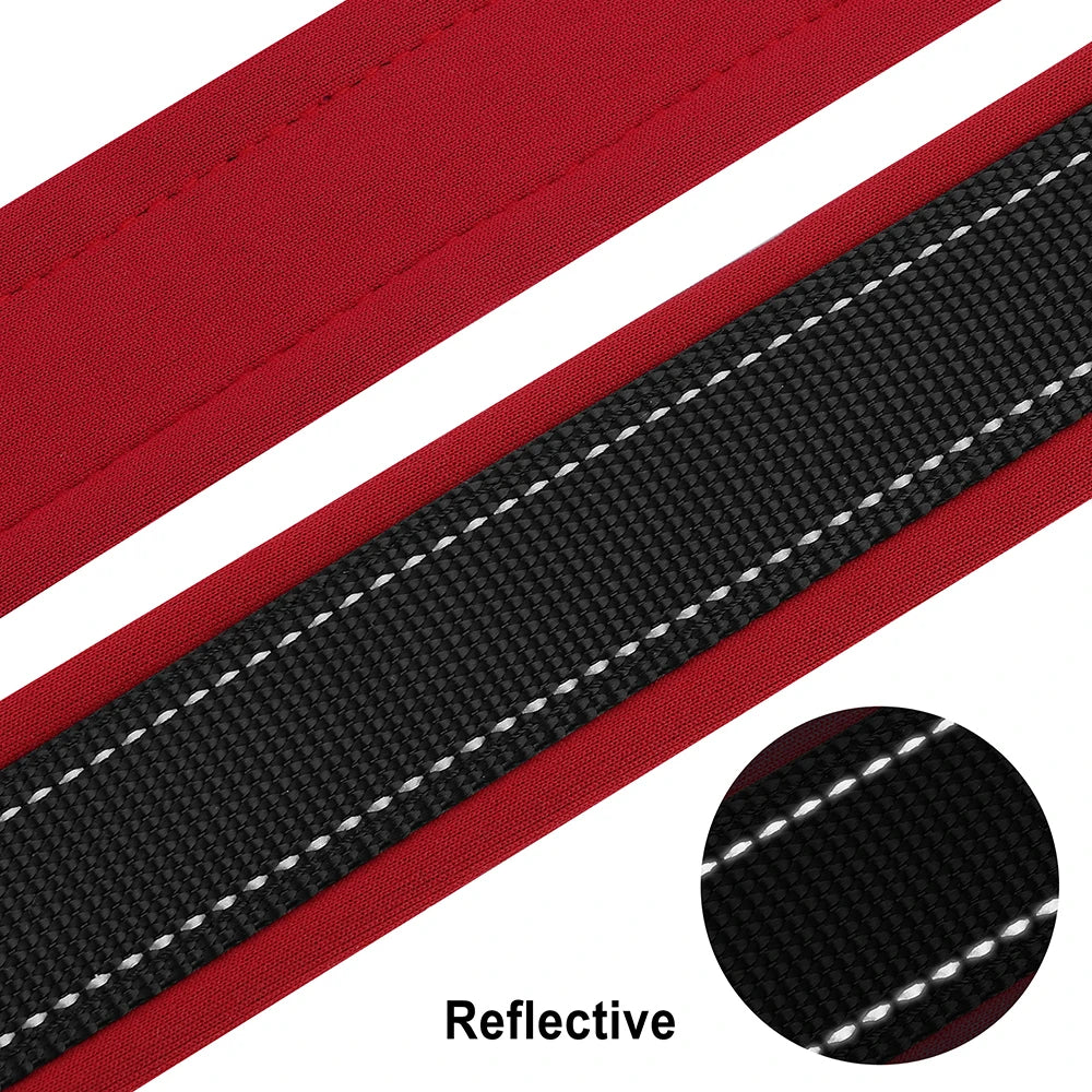 Personalized Dog Collar with Engraved Nameplate, Padded Nylon