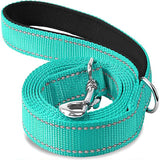 Reflective Nylon Dog Leash with Padded Handle, 4, 5 or 6 ft