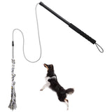 Flirt Pole for Dogs with Rope Lure, Interactive Exercise Toy