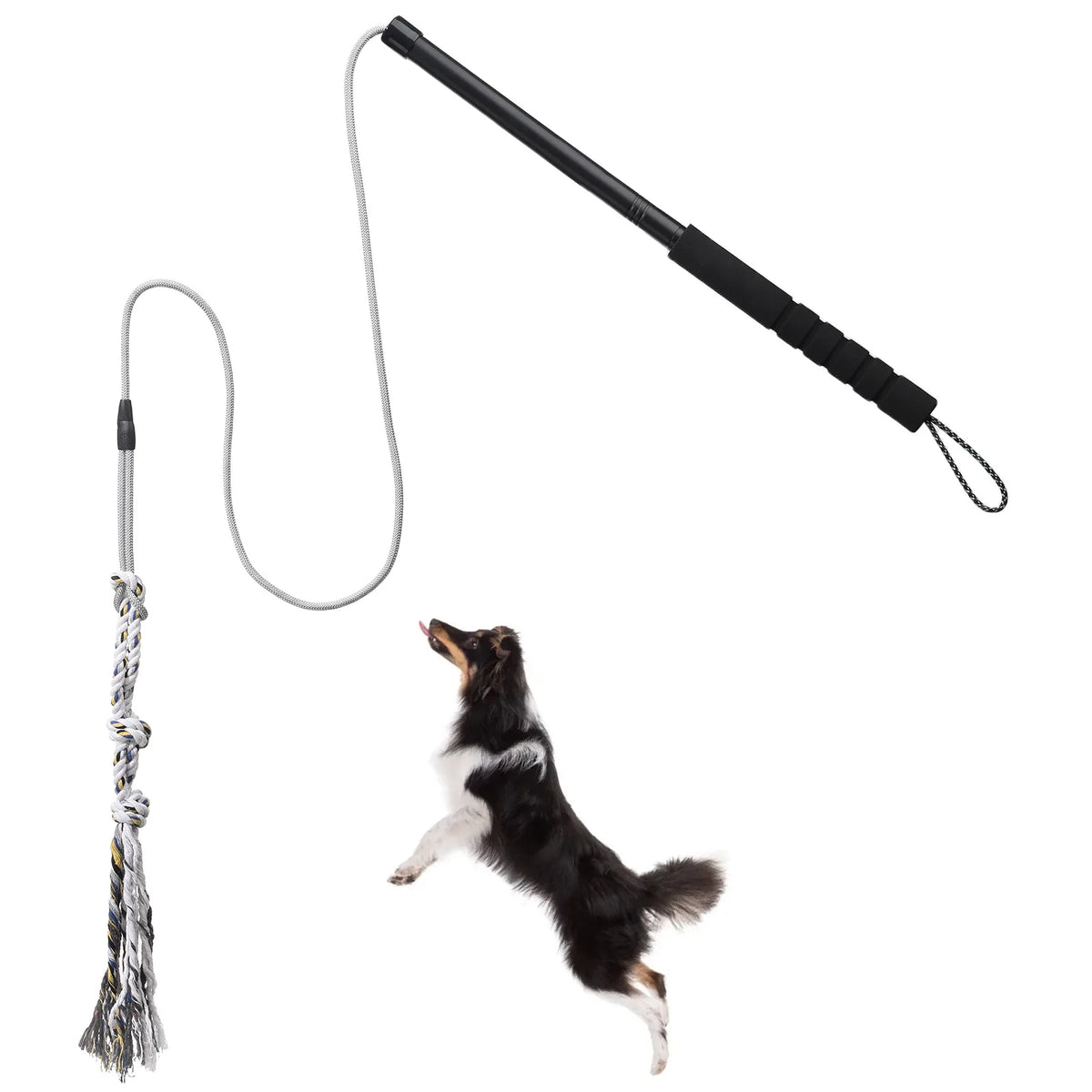 Flirt Pole for Dogs with Rope Lure, Interactive Exercise Toy