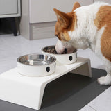Raised Dog Feeder – 2 Stainless Steel Bowls