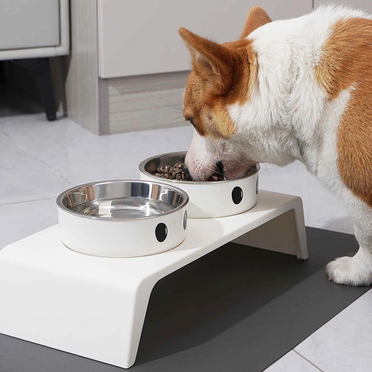 Raised Dog Feeder – 2 Stainless Steel Bowls