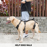 Dog Lift Harness with Handles for Senior Dogs and Rear Support