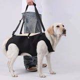 Dog Lift Harness with Handle for Senior and Injured Dogs, S to XL