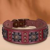 Genuine Leather Spiked Dog Collar, 2 Inch Wide for Large Dogs