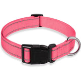 Soft Neoprene Padded Nylon Dog Collar for Medium Dogs