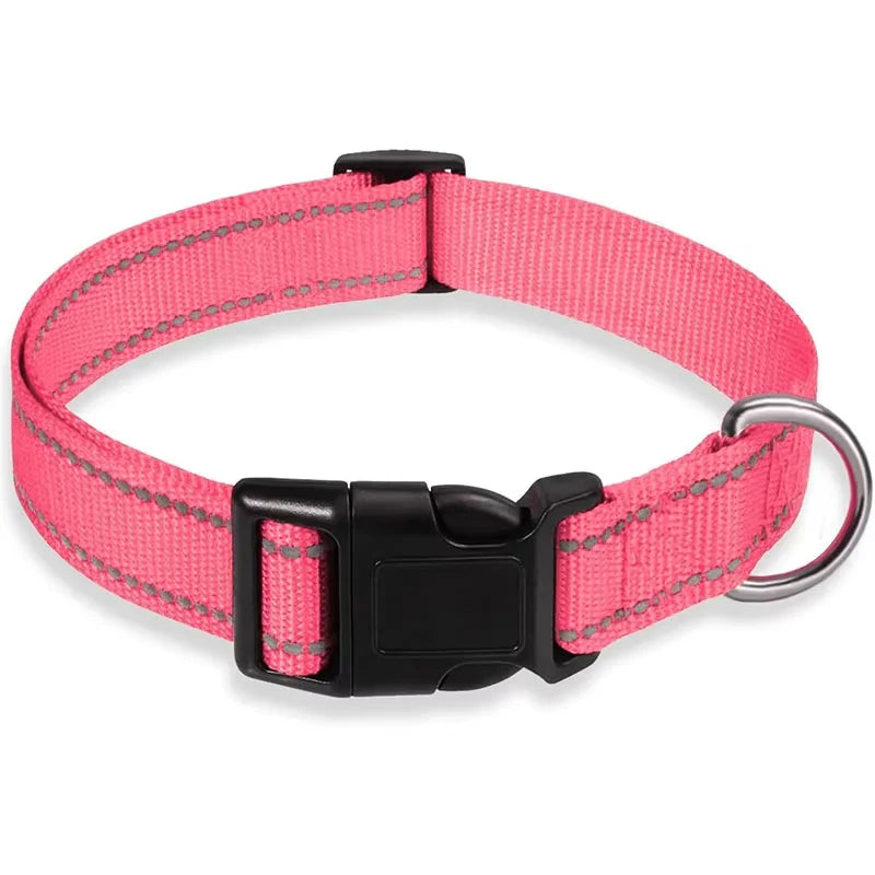 Soft Neoprene Padded Nylon Dog Collar for Medium Dogs