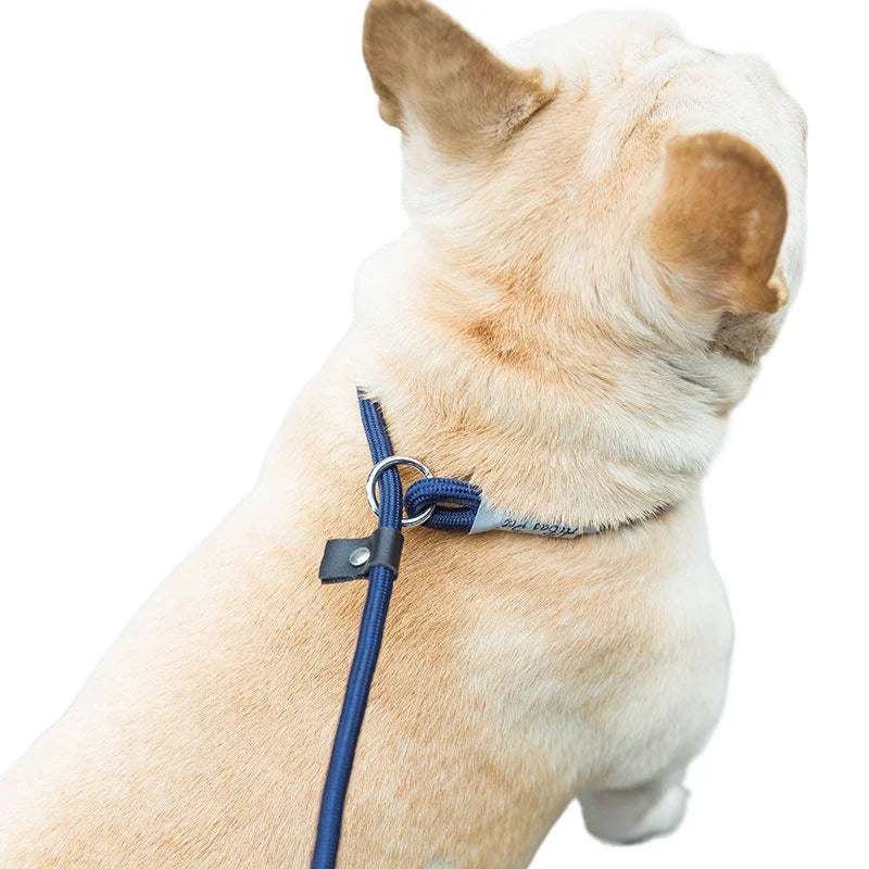 Braided Rope Slip Lead for Small and Medium Dogs