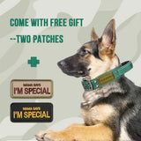 Tactical Dog Collar with Handle, Double Buckle and Patches