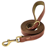 Personalized Dog Collar and Leash Set with Engraved Nameplate