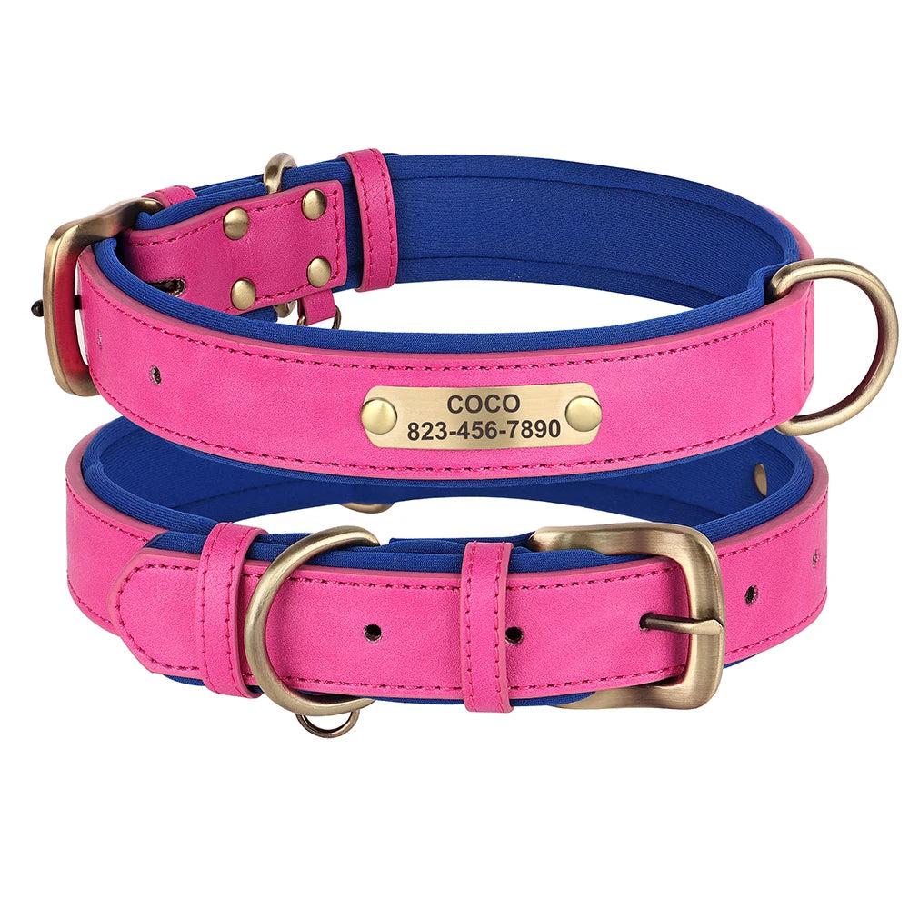 Personalized Leather Dog Collar with Engraved Nameplate, Pin Buckle