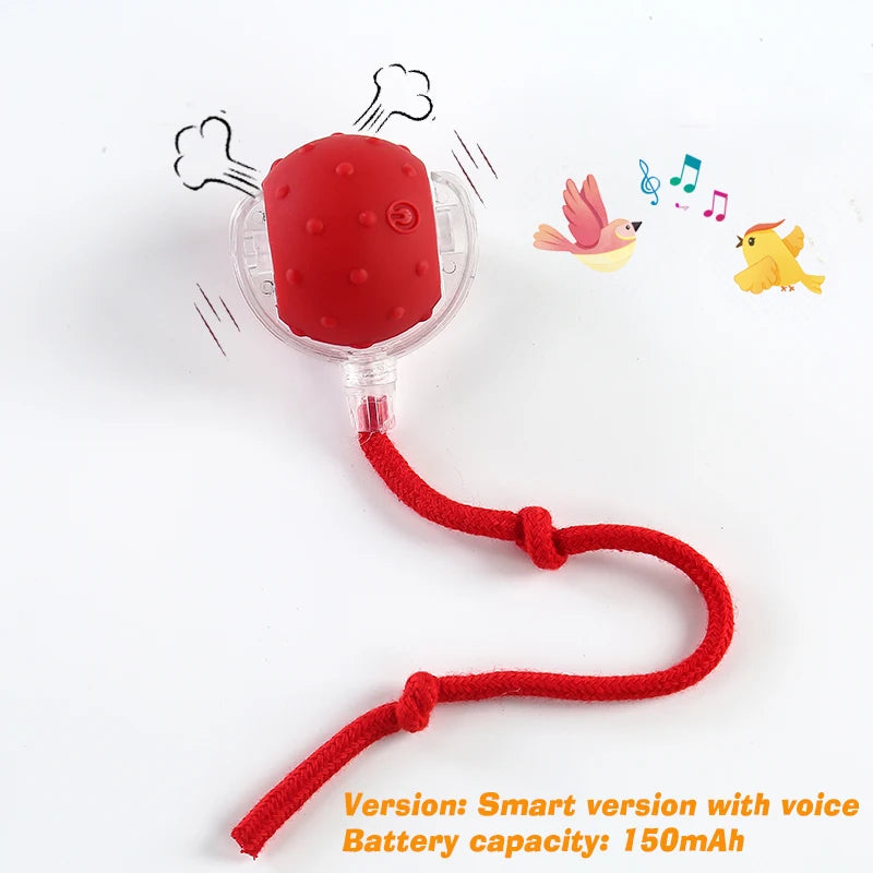 Automatic Rolling Ball Toy for Dogs, Rechargeable with 3 Modes