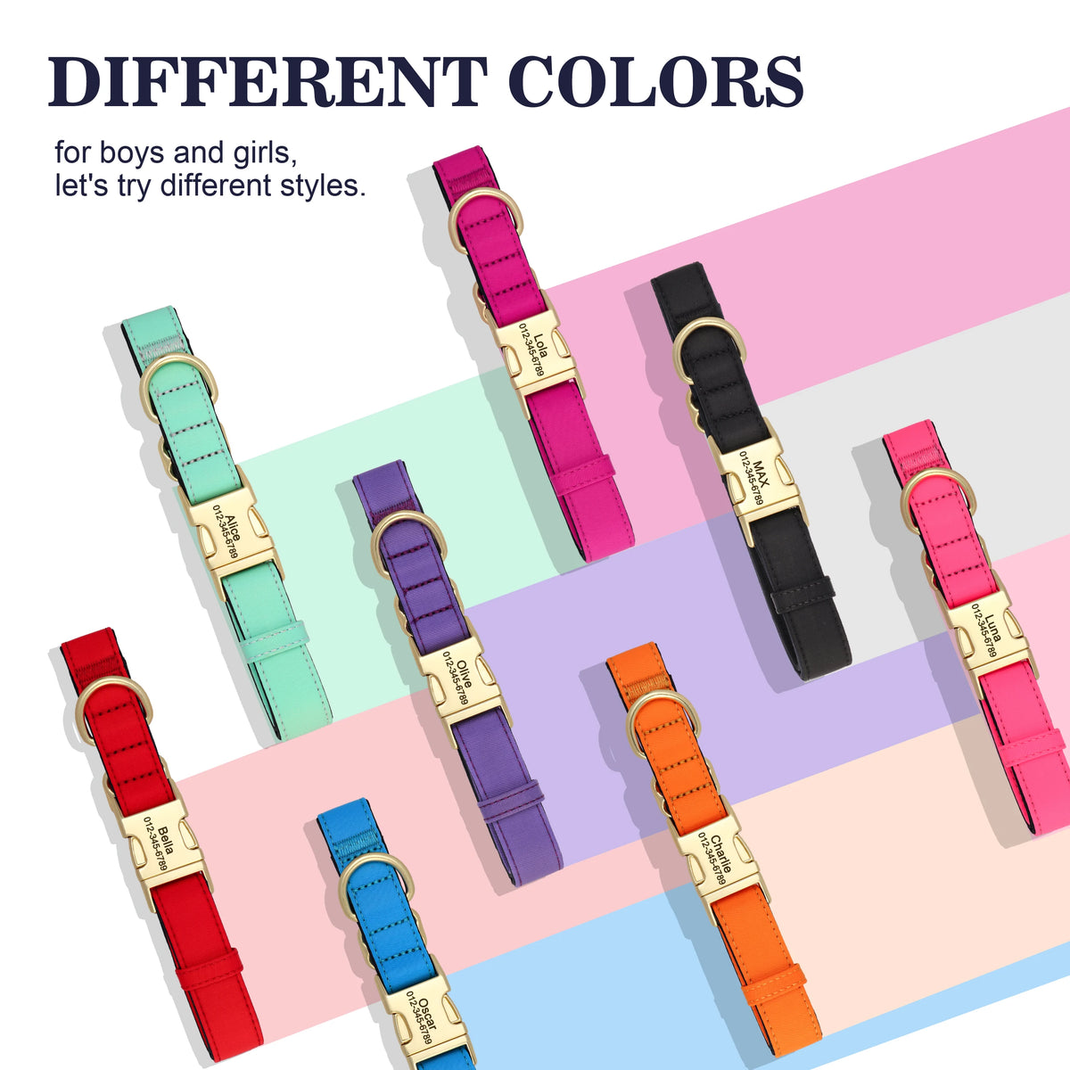 Personalized Padded Dog Collar with Engraved Gold Buckle