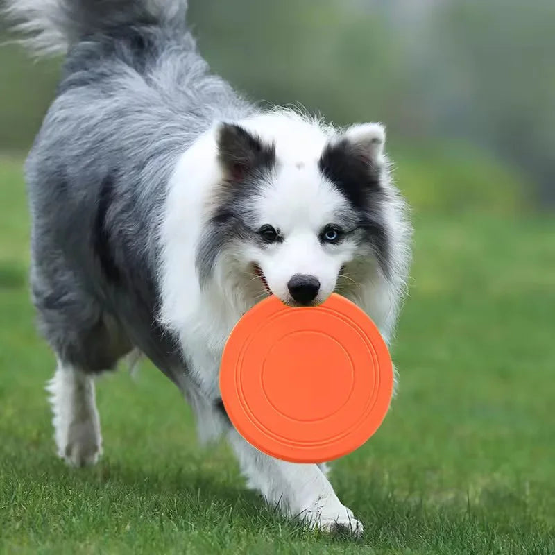 Soft Rubber Dog Frisbee That Floats, 7 Inch Flying Disc