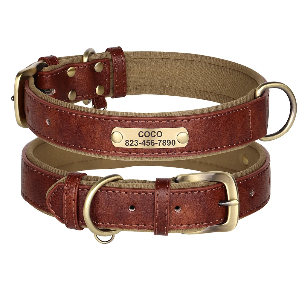 Personalized Leather Dog Collar with Engraved Nameplate, Pin Buckle