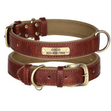 Personalized Leather Dog Collar with Engraved Nameplate, Pin Buckle