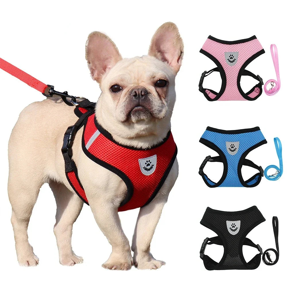 Mesh Dog Harness and Leash Set for Small Dogs and Cats