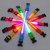 LED Dog Collar with 3 Light Modes, USB or Battery Powered