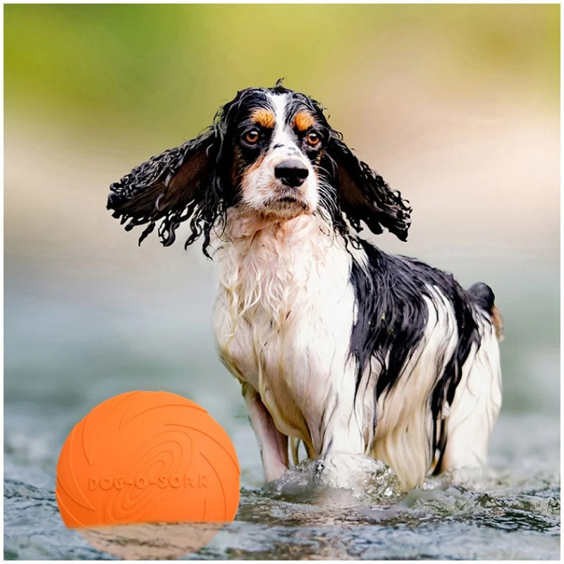 Soft Dog Flying Disc for Fetch, 3 Sizes
