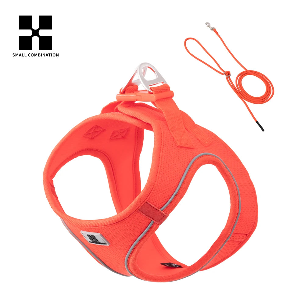 Step-In Dog Harness and Leash Set for Small Dogs and Cats
