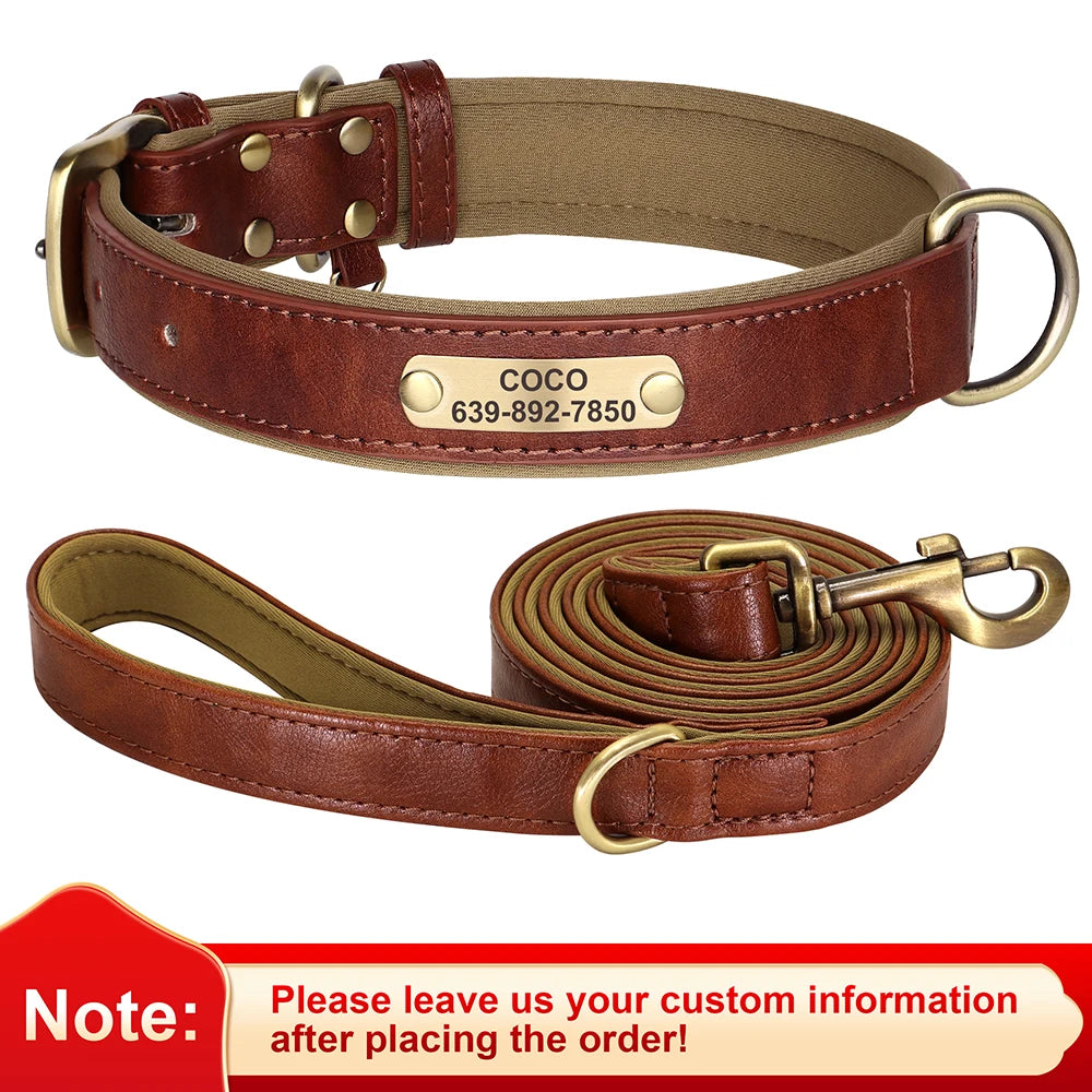 Personalized Leather Dog Collar with Engraved Nameplate, Pin Buckle