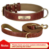 Personalized Leather Dog Collar with Engraved Nameplate, Pin Buckle