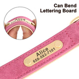 Personalized Leather Dog Collar with Engraved Nameplate, Pin Buckle
