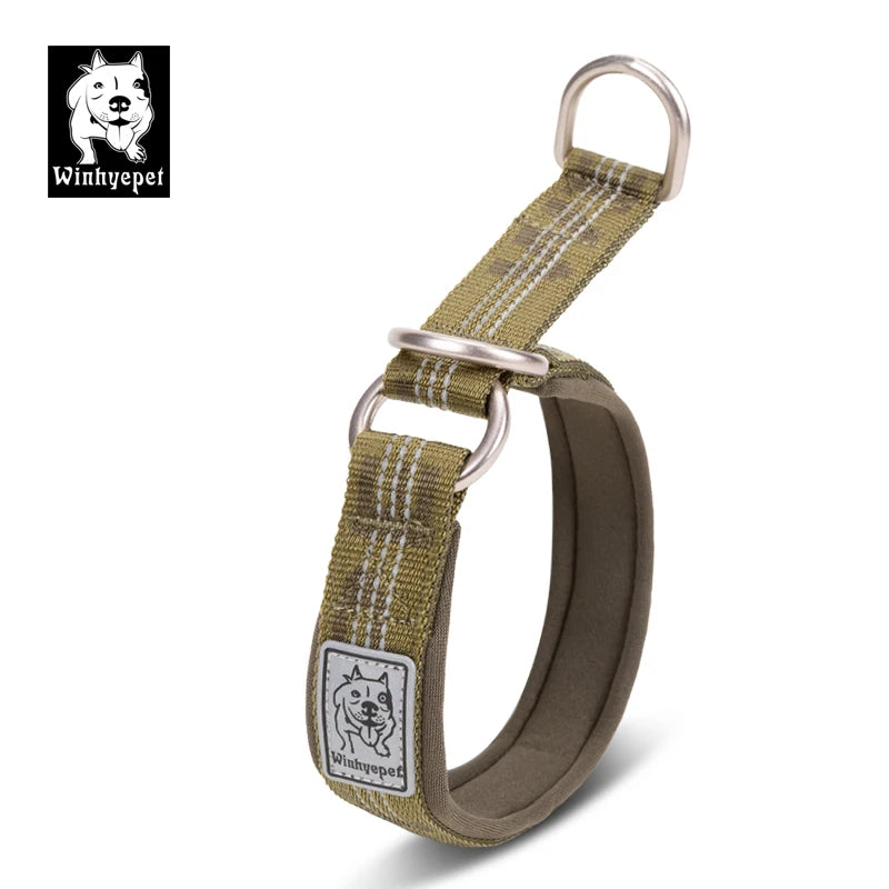 Martingale Dog Collar with Neoprene Padding and Reflective Stitching