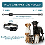 Dog Training Collar with Remote, 3300 ft Range, Beep, Vibration, Shock