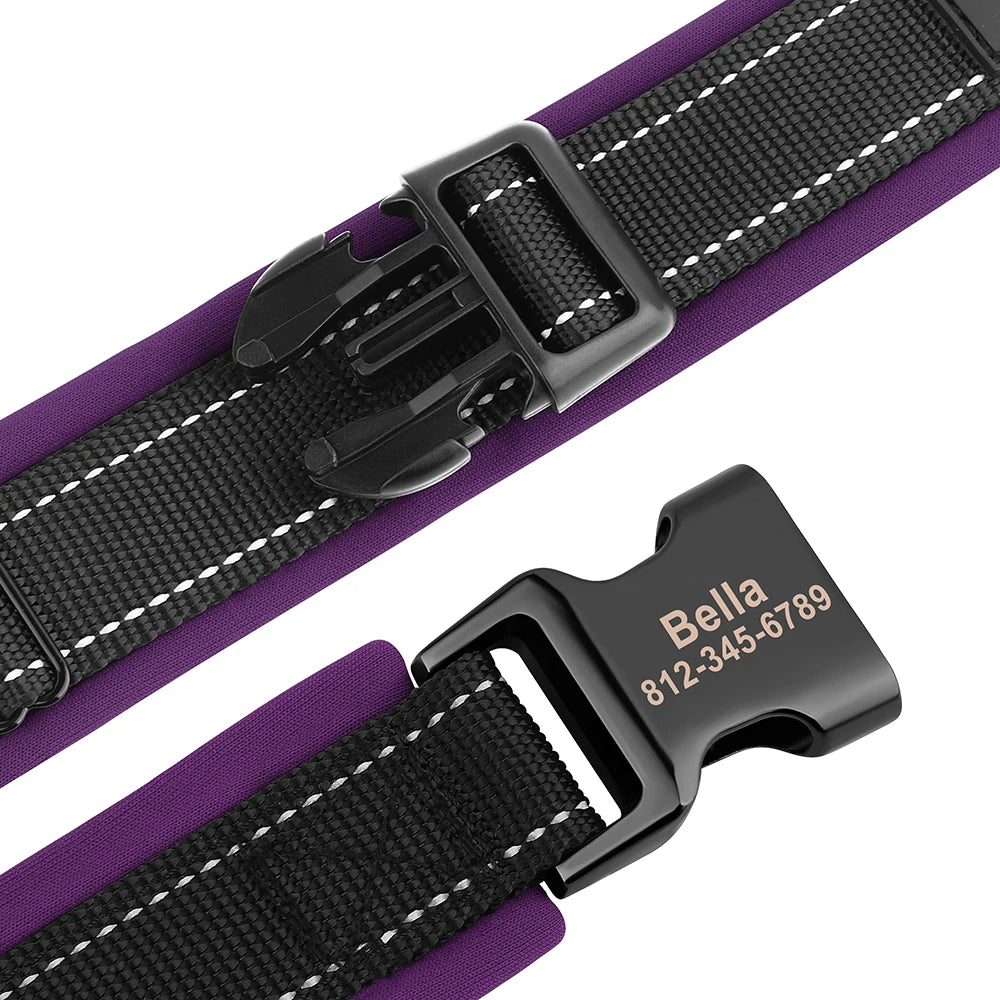Personalized Dog Collar with Engraved Buckle, Reflective & Padded
