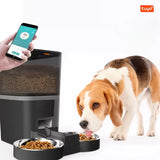 Automatic Dog Feeder with Camera and App Control, 4L