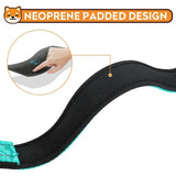 Soft Neoprene Padded Nylon Dog Collar for Medium Dogs