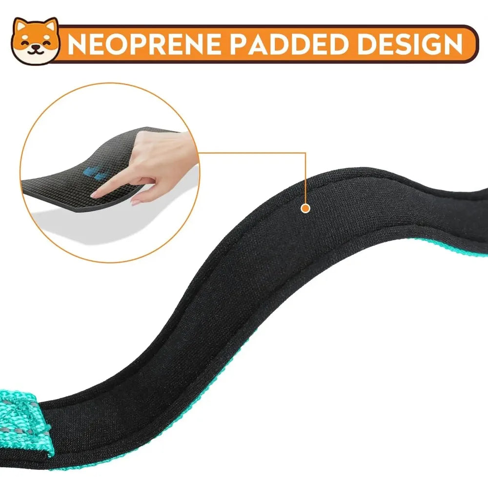 Soft Neoprene Padded Nylon Dog Collar for Medium Dogs