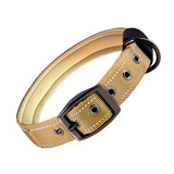 Padded Reflective Dog Collar with Metal Buckle, Medium to Large Dogs